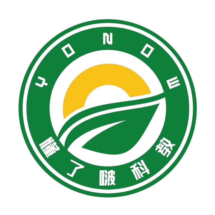 懂了啵